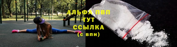 PSILOCYBIN Каменногорск
