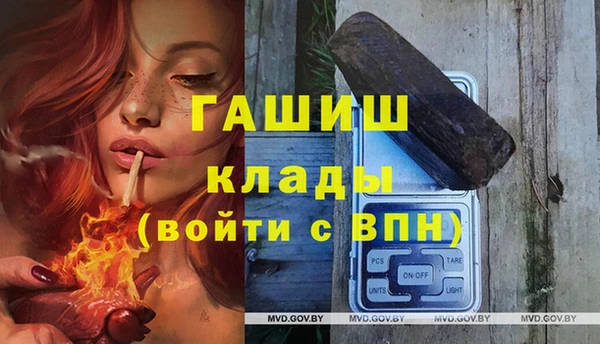 PSILOCYBIN Каменногорск