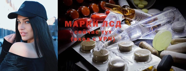 PSILOCYBIN Каменногорск