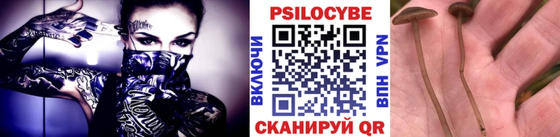 Псилоцибиновые грибы мицелий  Купить закладки  Тетюши 